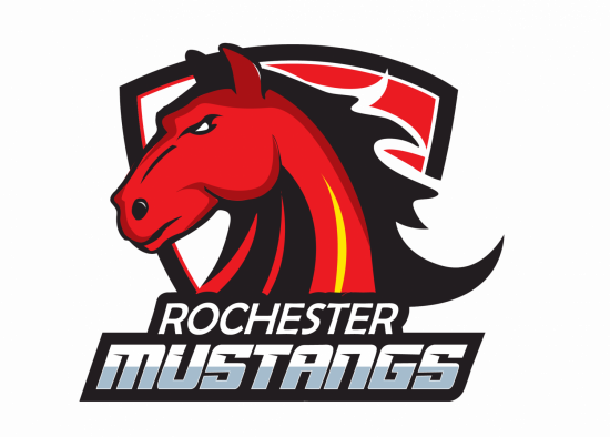 Rochester Hockey