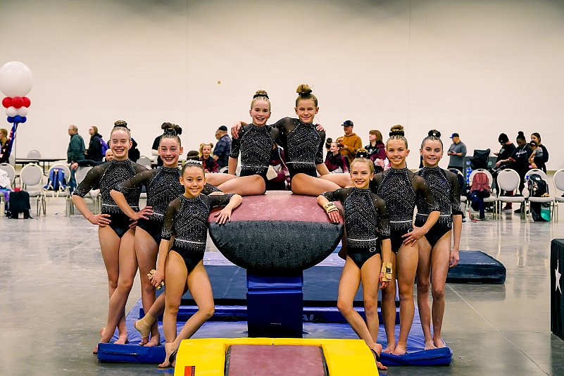 Girls gymnastics team portrait